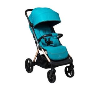 BAROTTI PASSEGGINO MEGA COLORE SALVIA